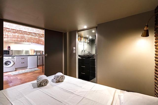 Duplex Climatise Dans Un Monument Historique Apartment Тулуза Екстериор снимка